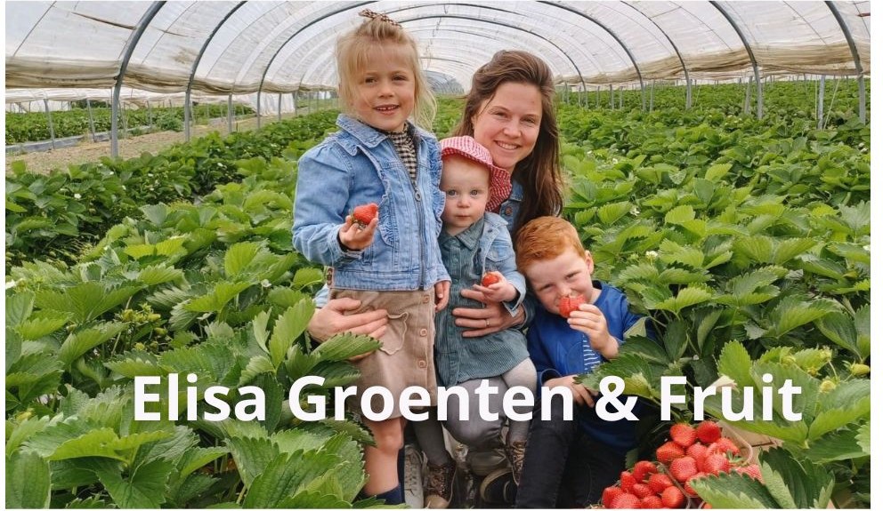 MATO automaat bij Elisa Groenten & Fruit